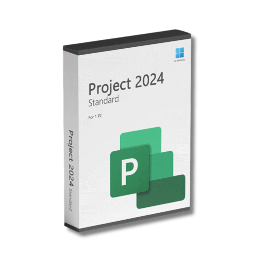 MS Project 2024 Standard