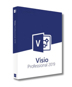 MS Visio Professional Professional 2019